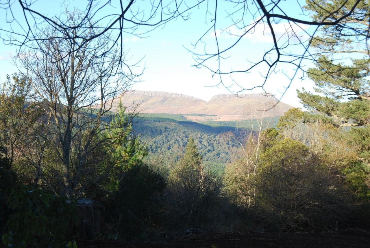 Villa Laragh-On-Hogsback Exterior foto